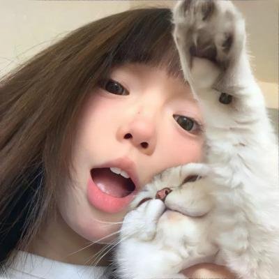 森林守护队